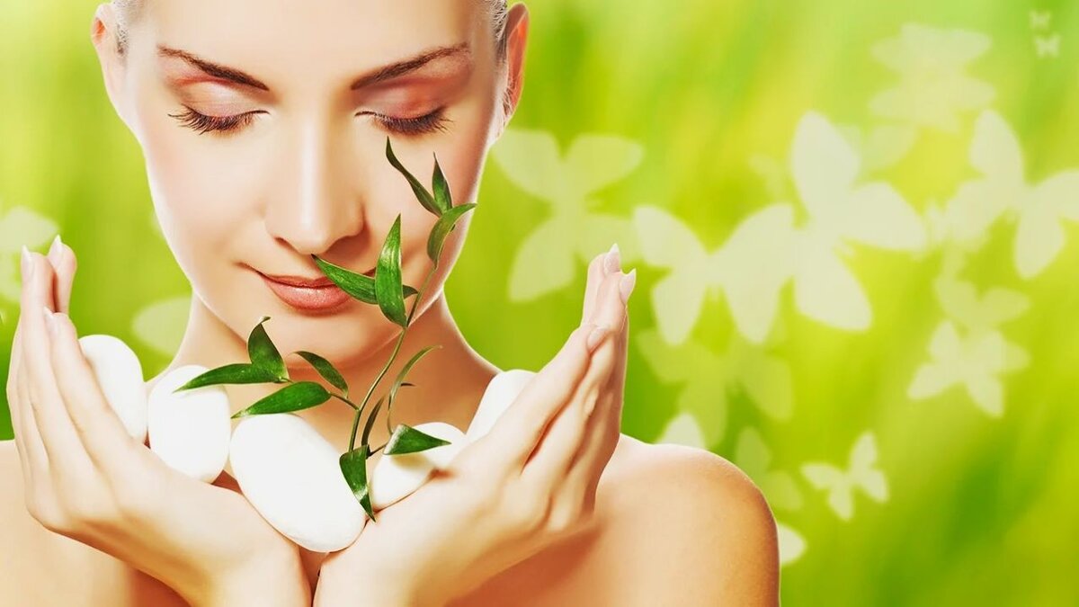 Яндекс Картинки