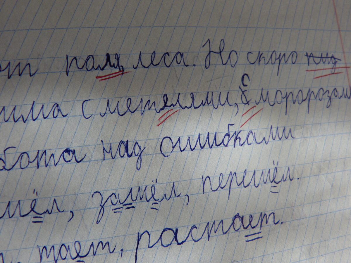 Вот такая грязюка в тетради бывает. Фото мое