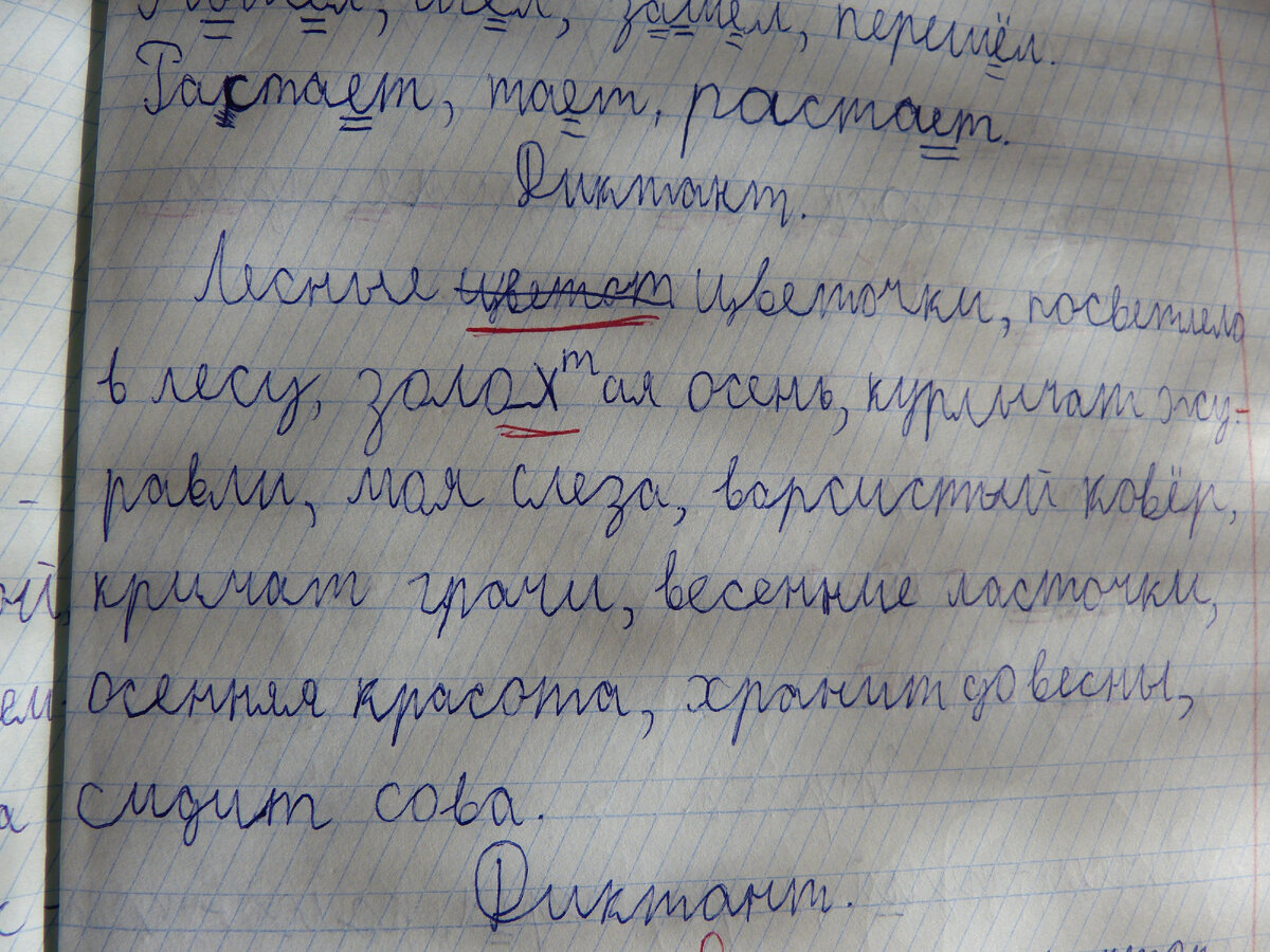 В день мы пишем по несколько диктантов. Текстовый, словарный и на орфограммы, которые проходим. Вот тут все написано правильно, но коряво. Плюс опять вылезла невнимательность и появились почеркушки. На самом деле этот  диктант - еще хороший образец написания. Есть хуже, гораздо хуже. Фото мое