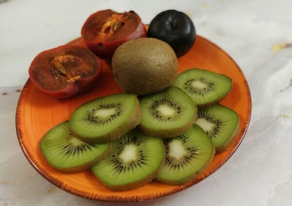    Фото: Никита Чудин. UG.RU