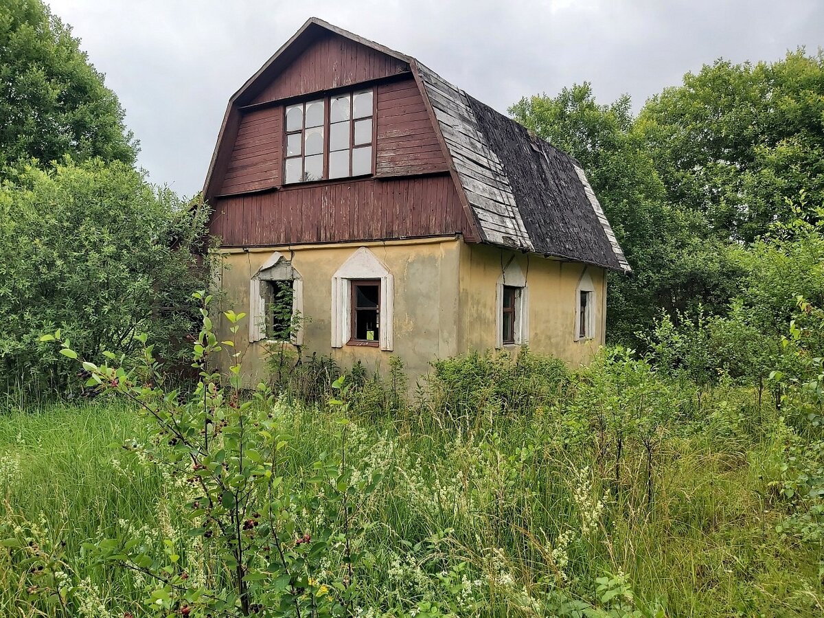 заброшенный земельный участок. заброшенный участок с домом. заброшенная дача. безлюдный участок земли. заброшенный дачный участок.