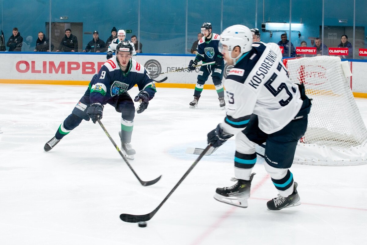 Эмблемы хоккейных команд. Хоккейный медведь. Медведь хоккеист рисунок. Хоккей россии эмблема. Хоккейный медведь.