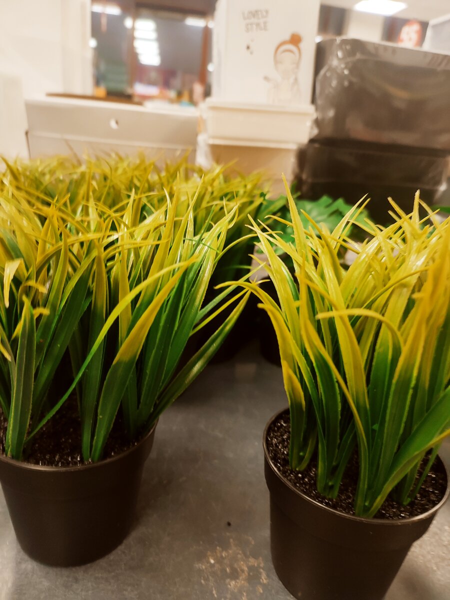 не знаю что сказать картинки. даже не думаю понял что. мемы о чем ты. ты меня не понимаешь. я думаю мемы.