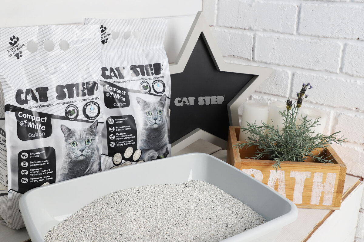 Угольные котята. Уголь коту. Бенгальская кошка окрасы чаркоал. Наброски кошек углем. Кошка пьет лекарство.