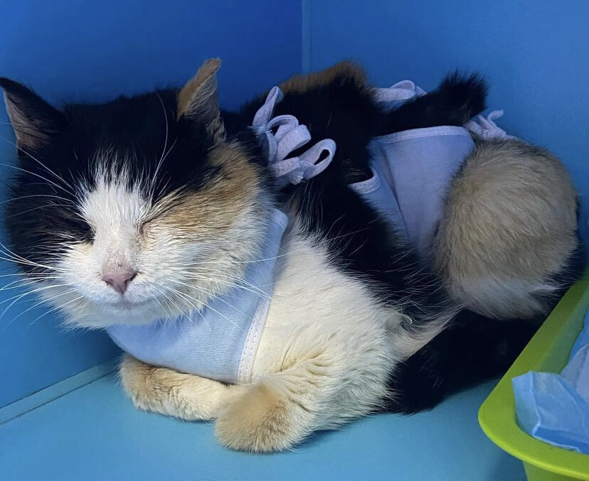 Человек уходит. Куда бы ты ни шел. Демотиватор. Фото в некуда. Некуда.