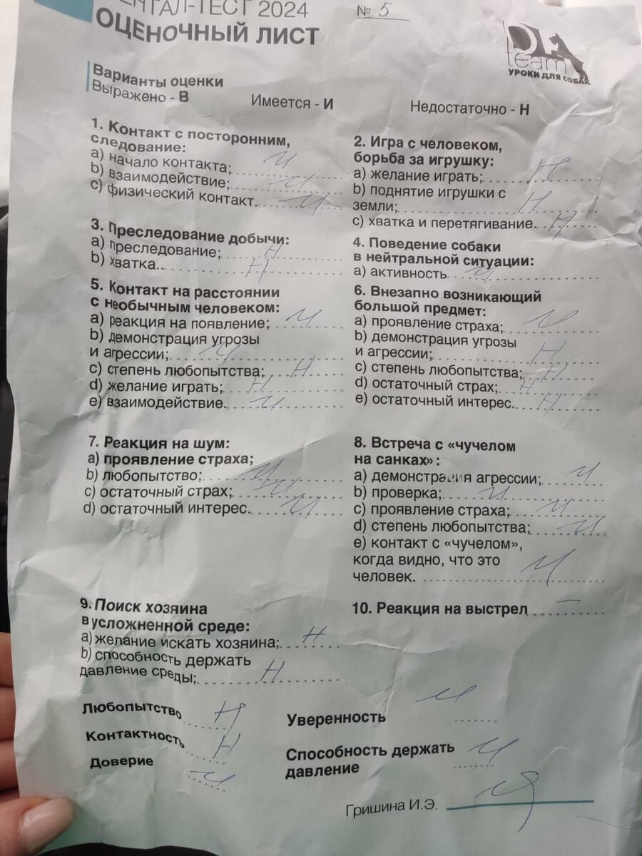 Тест на определение собаки. Тест на определение собаки
