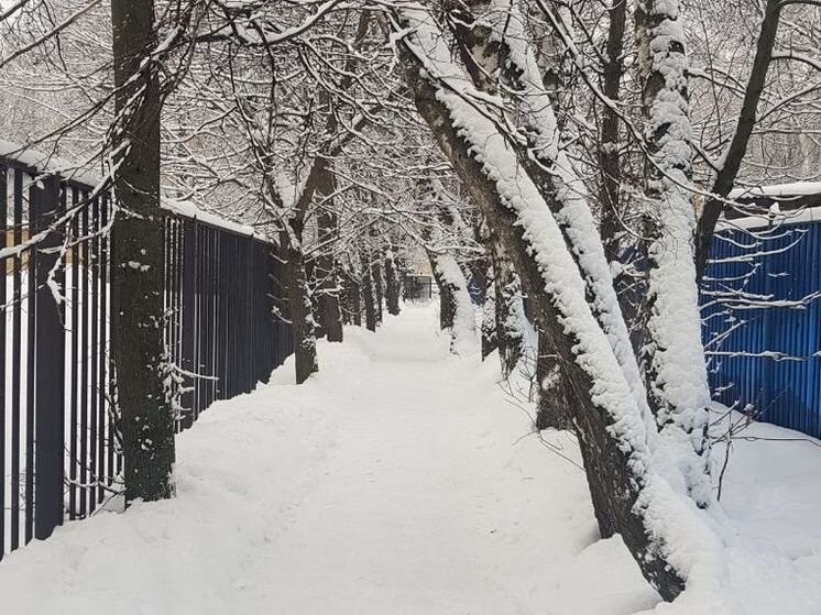 Атмосферное давление для метеозависимых людей сегодня. Давление в москве сейчас. Атмосферное давление для метеозависимых людей сегодня. Влияние низкого атмосферного давления на организм. Метеочувствительность профилактика.