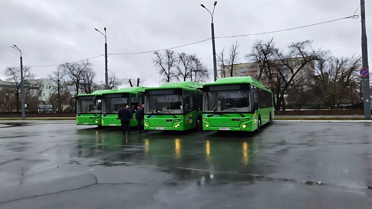 Кому это надо»? Водитель оренбургского автобуса рассказал о «прелестях»  работы | 56orb.ru | Дзен