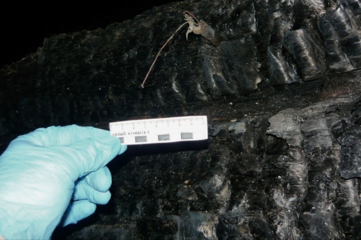    Пожар с погибшей в Лихославле произошёл днём 28 января