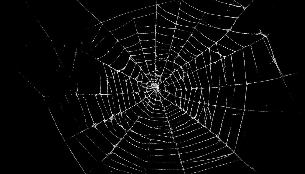 Картинка сгенерирована ИИ