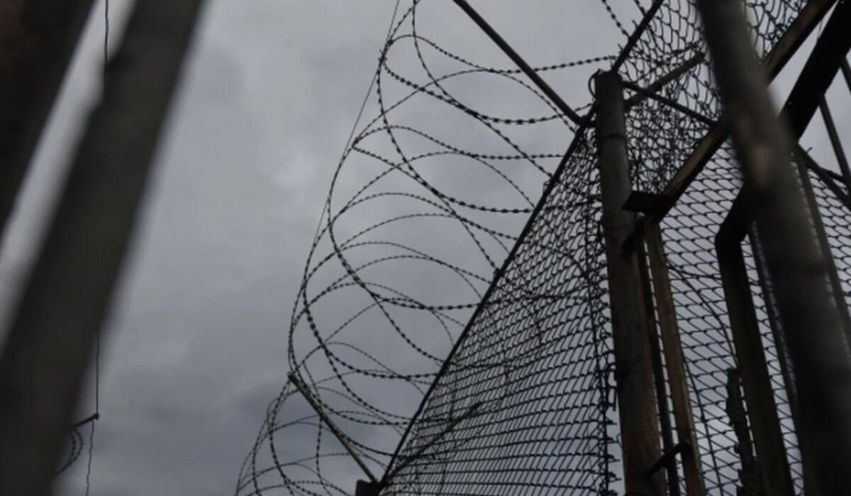     Колючая проволока. Источник: kazan.kp.ru Автор фото: Алексей Булатов