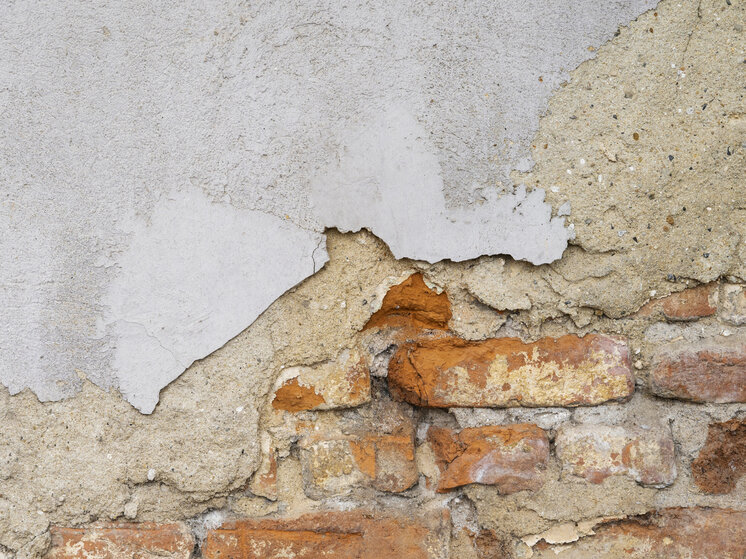     Фото: ru.freepik.com