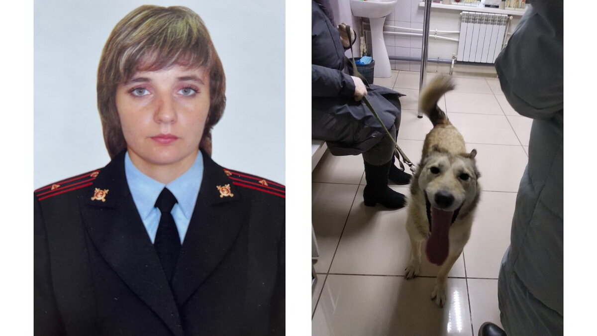 Девушки полицейские россии. Женская полицейская форма. Девушка сотрудник полиции. Девушка офицер полиции. Девушка полицейский.