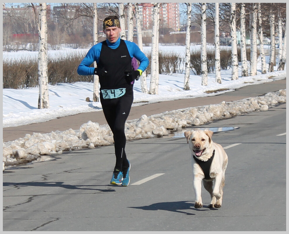 План бега для похудения. Бег план тренировок для начинающих. План тренировок по бегу для начинающих. Сколько нужно бегать чтобы сжечь 1 кг жира. Бег 40 минут сколько.