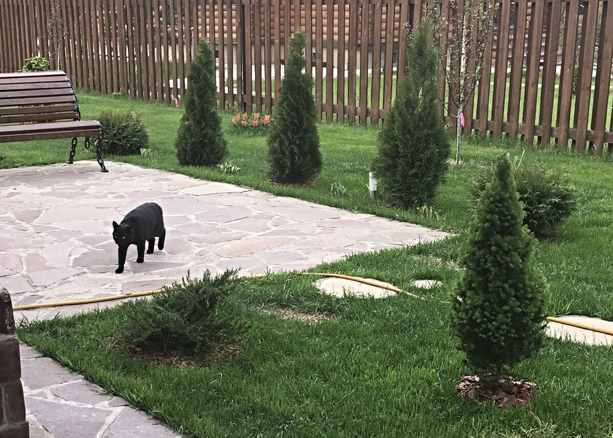 На двух опытных участках вырастили. На 2 опытных участках общей площадью 100 м квадратных высадили тюльпаны. На двух участках посадили. На двух участках посадили. На двух участках посадили.