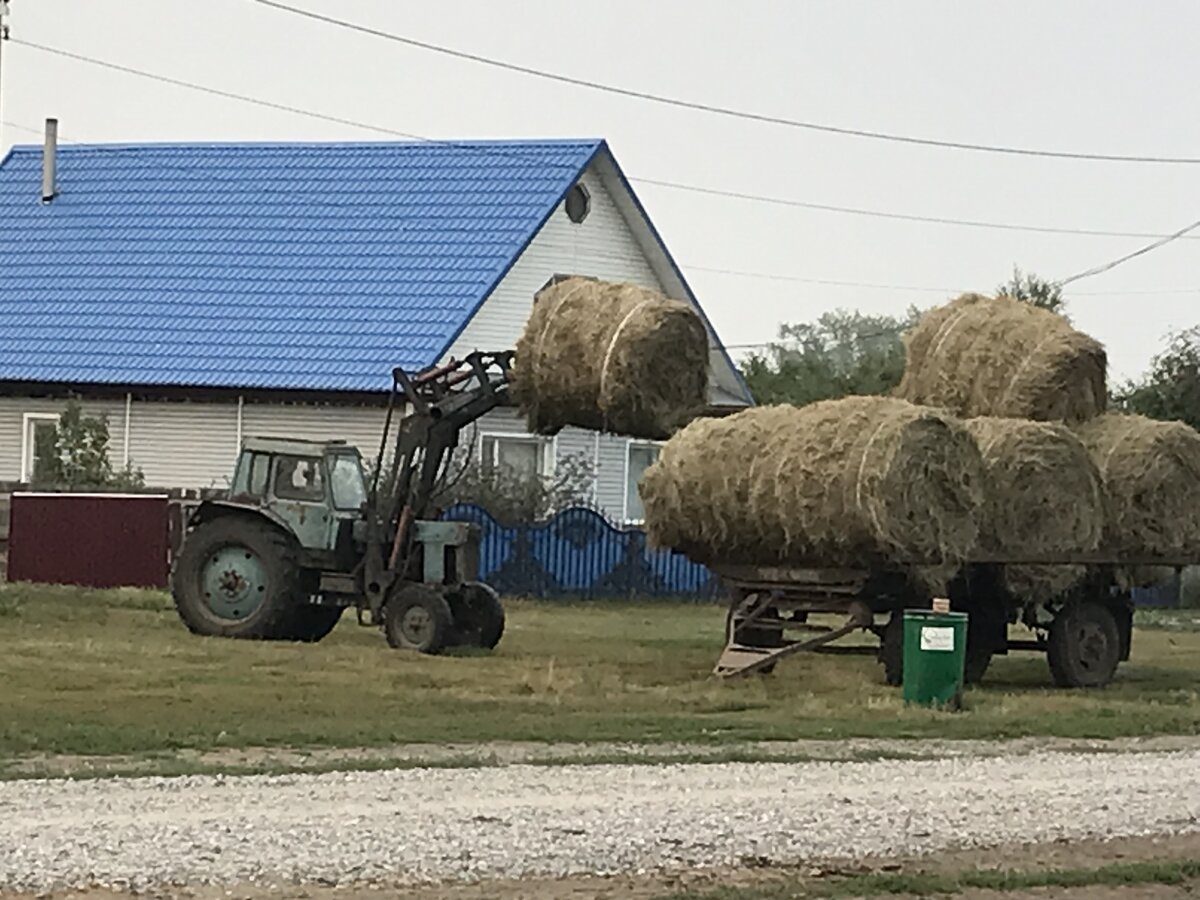 Деревня мигрантов. Узбекские гастарбайтеры. Таджикские мигранты. Толпа беженцев. Таджики нелегалы.