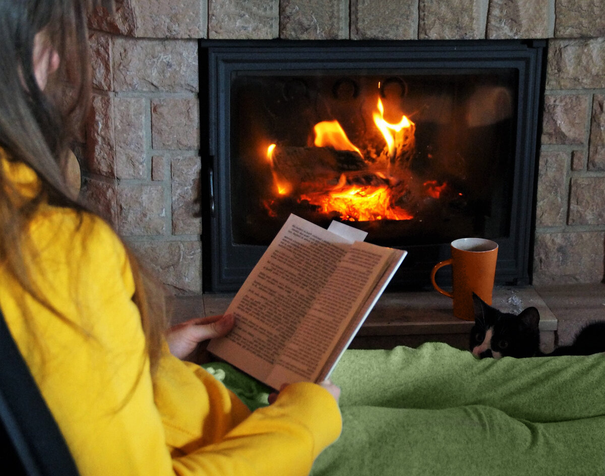 Фотография из открытого источника pixabay com 
