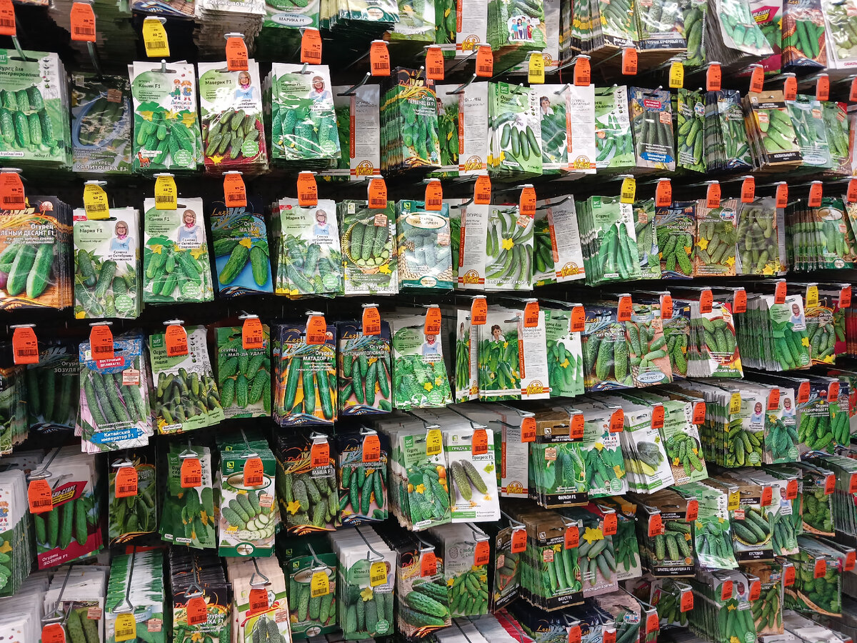 Цветочный магазин в селятино. Цветочный магазин в селятино. Флористический интерьер. Цветочный альянс. Цветочный дворик бийск.