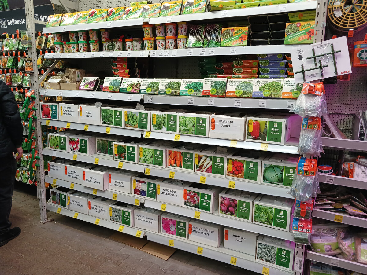 гаршинка интернет магазин семена и саженцы. интернет-магазин растений и цветов. гаршина интернет магазин садовых растений. гаршина интернет магазин садовых растений. гаршинка интернет-магазин садовых растений и цветов.