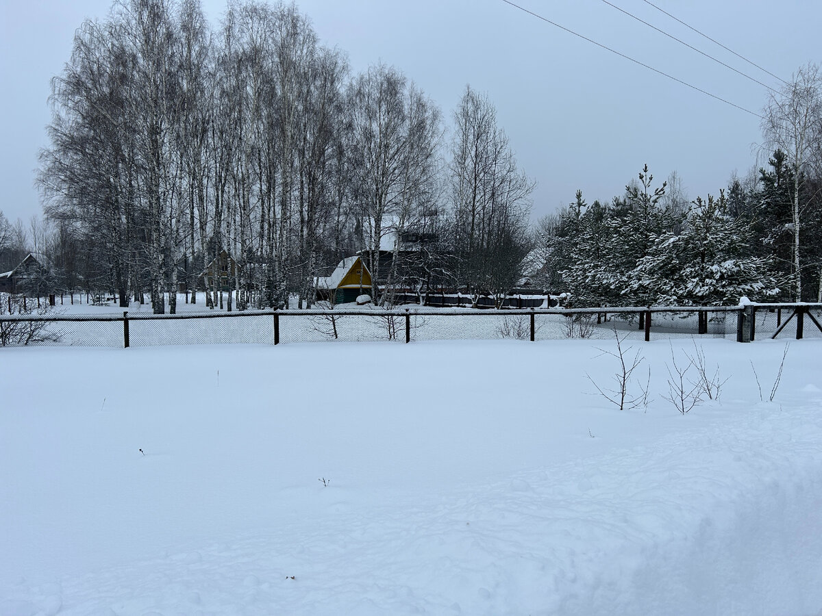 дружба продается. усть-каменогорск цены. дружба не продается. дружбу за деньги не купишь. дружба продается.