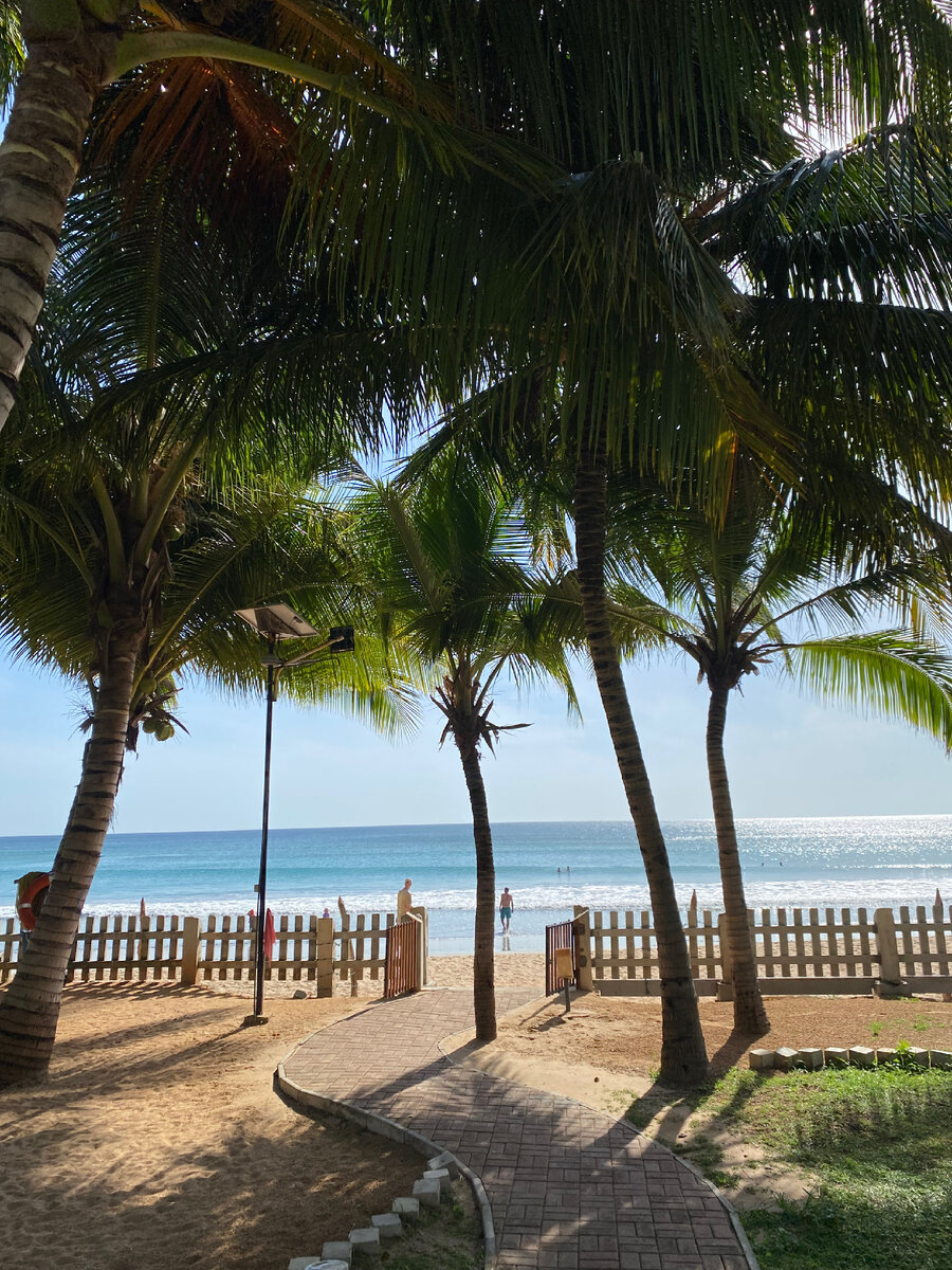 Oceanfront Condominiums