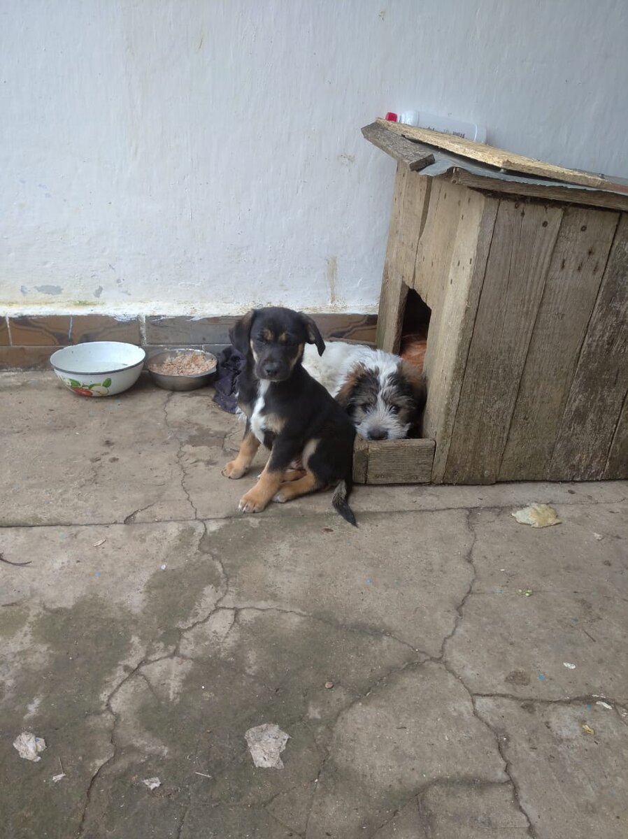 бабушка можно приехать пожить к тебе 79. женщина из деревни идет по городу с тяжелыми сумками. старушка мать. старушка у дома. бабулька с чемоданами.