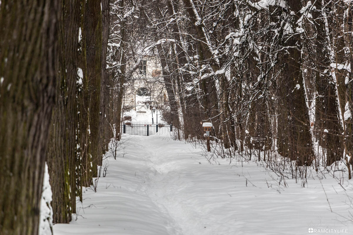 Балашиха. Что посмотреть?! | RamCityLife | Дзен