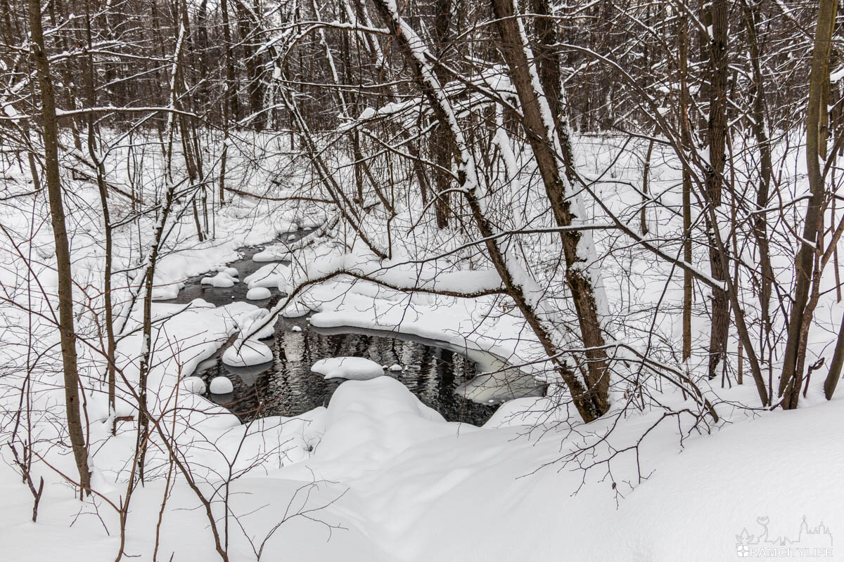 Балашиха. Что посмотреть?! | RamCityLife | Дзен