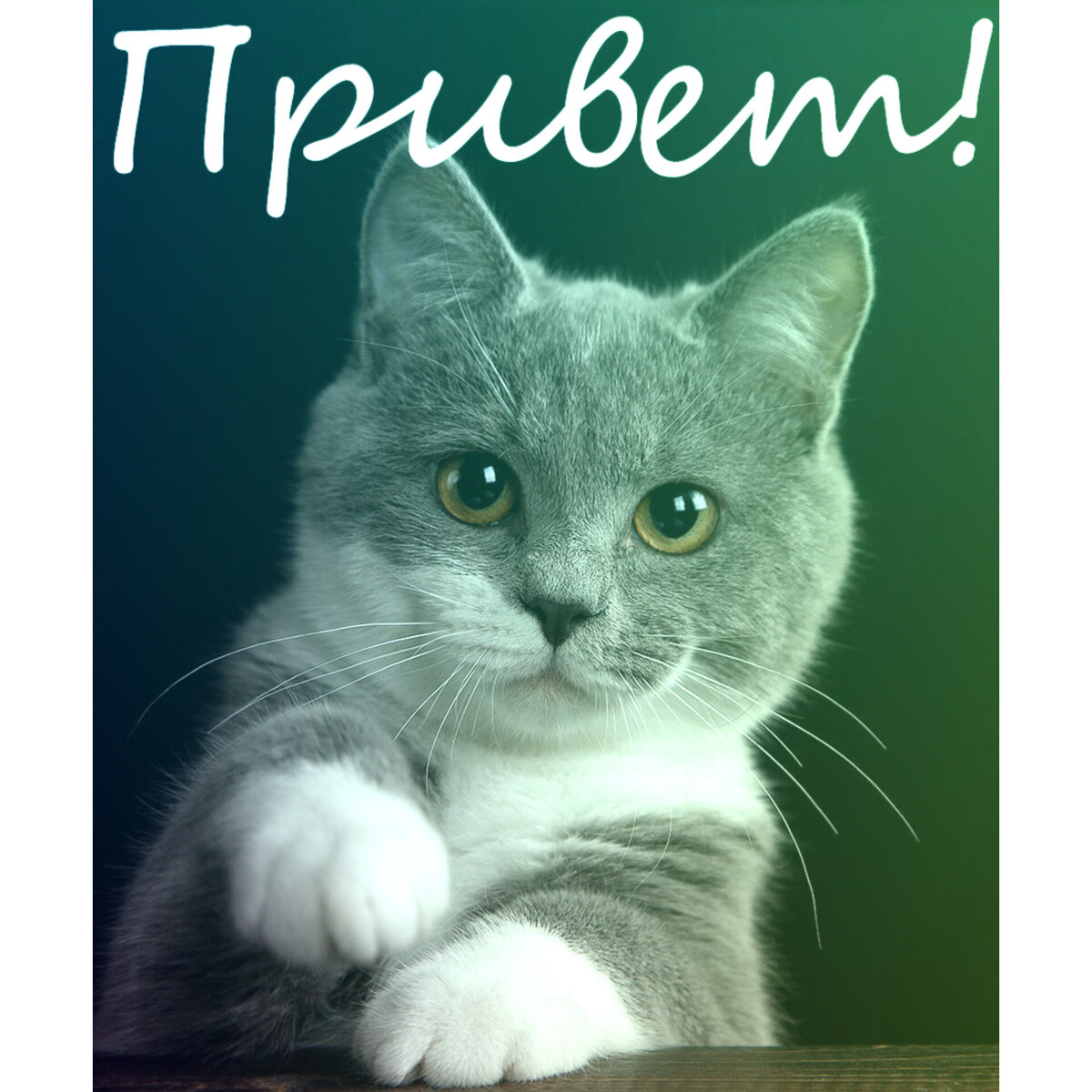 Всем огромный привет от меня🙂