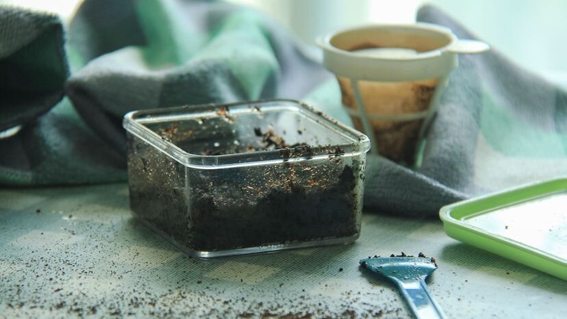 Из кофейной гущи можно приготовить отличный скраб для лица. В этом скрабе использованная гуща смешана с коричневым сахаром и оливковым маслом.