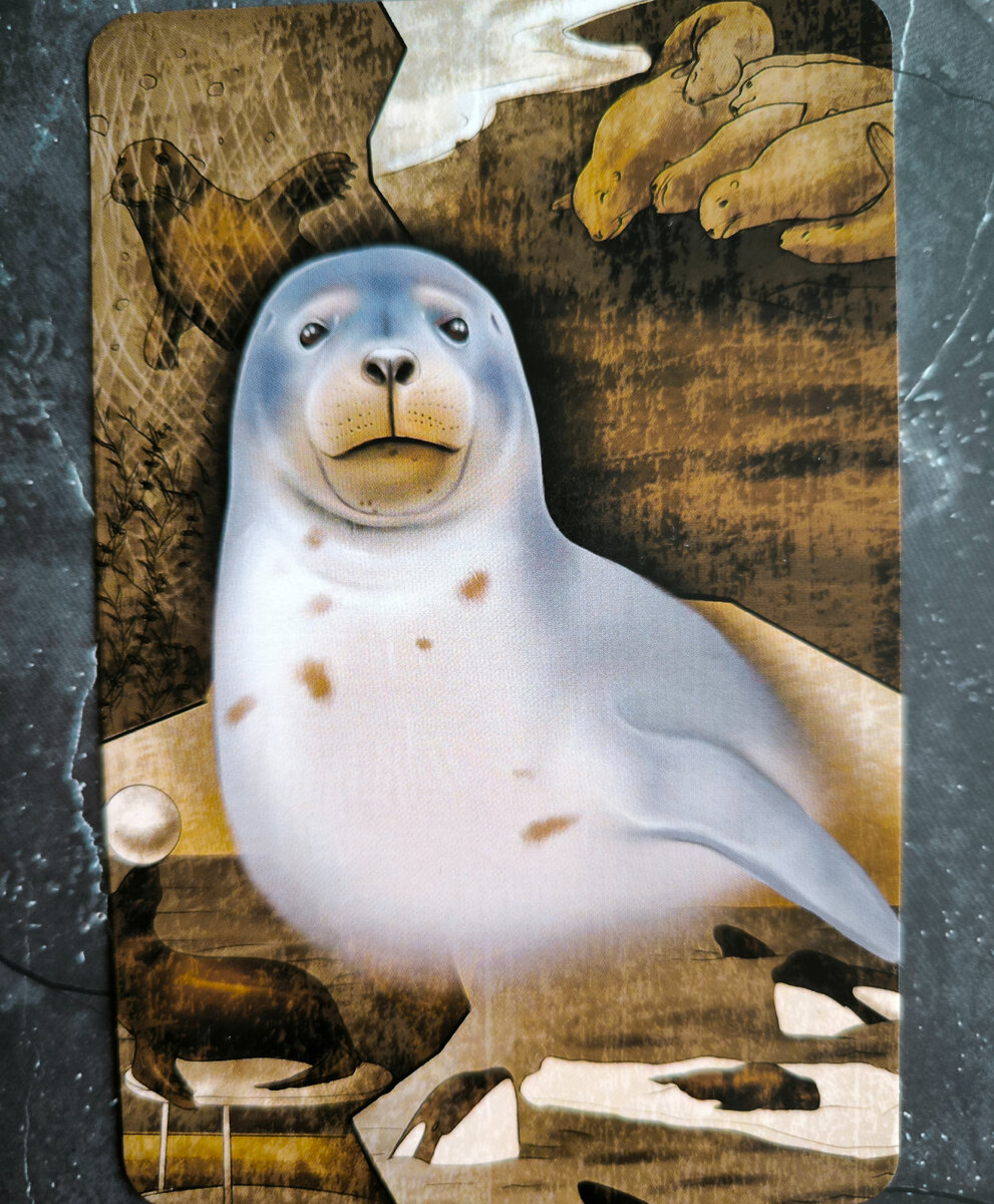 метафорические карты тотемные животные. тотемные животные книга. тотемные животные книга. характеристики тотемных животных. совы чиро марчетти.