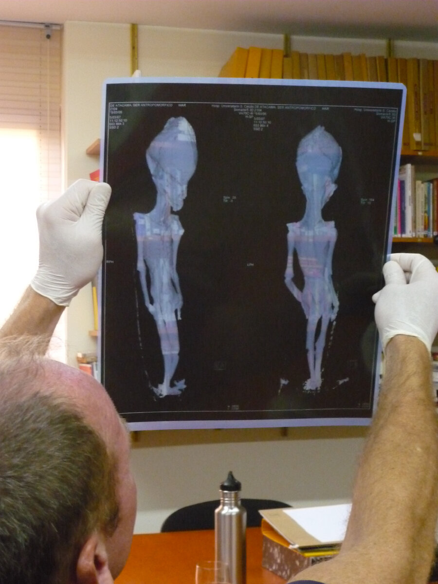 Яндекс.Картинки