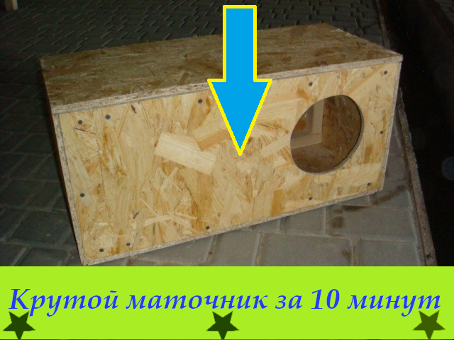 Мой маточник на примере!