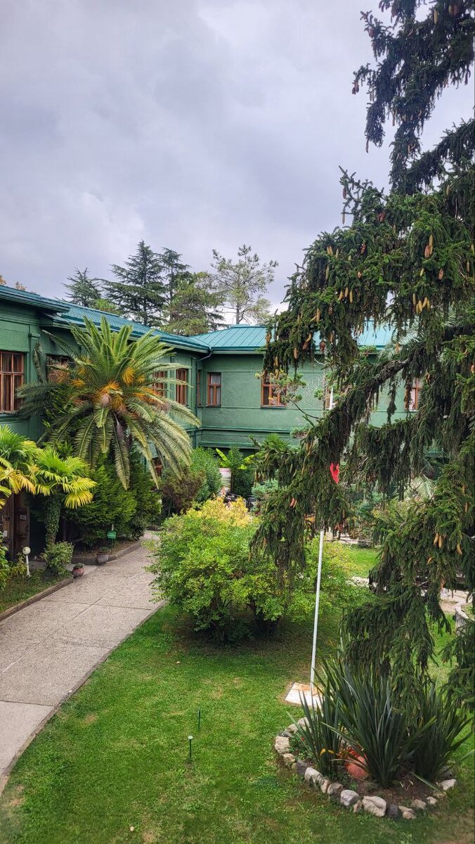 Девочка с едой. Сходить с детьми поесть. Дети в кафе. Куда сходить покушать с детьми в вологде. Родители с детьми в кафе.