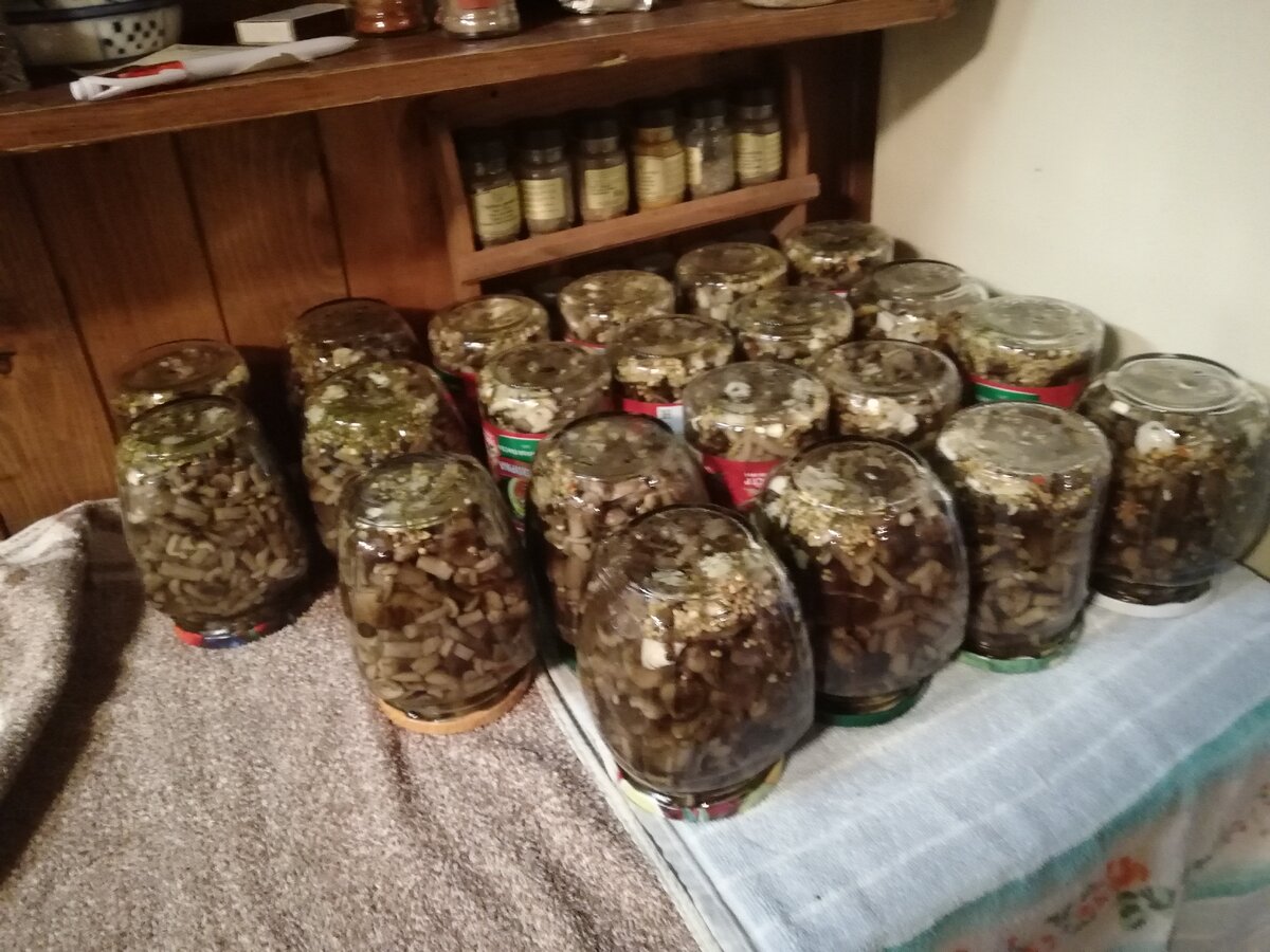 "мариновали полночи..."