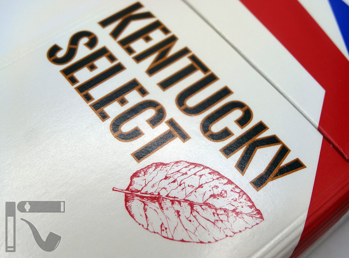 Сигареты Kentucky Select. Фото: © канал "Уголок Курильщика"