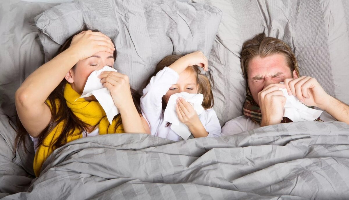 Фото: sun9-74.userapi.com