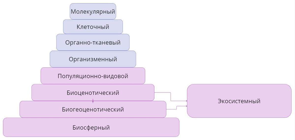 Биология — Википедия