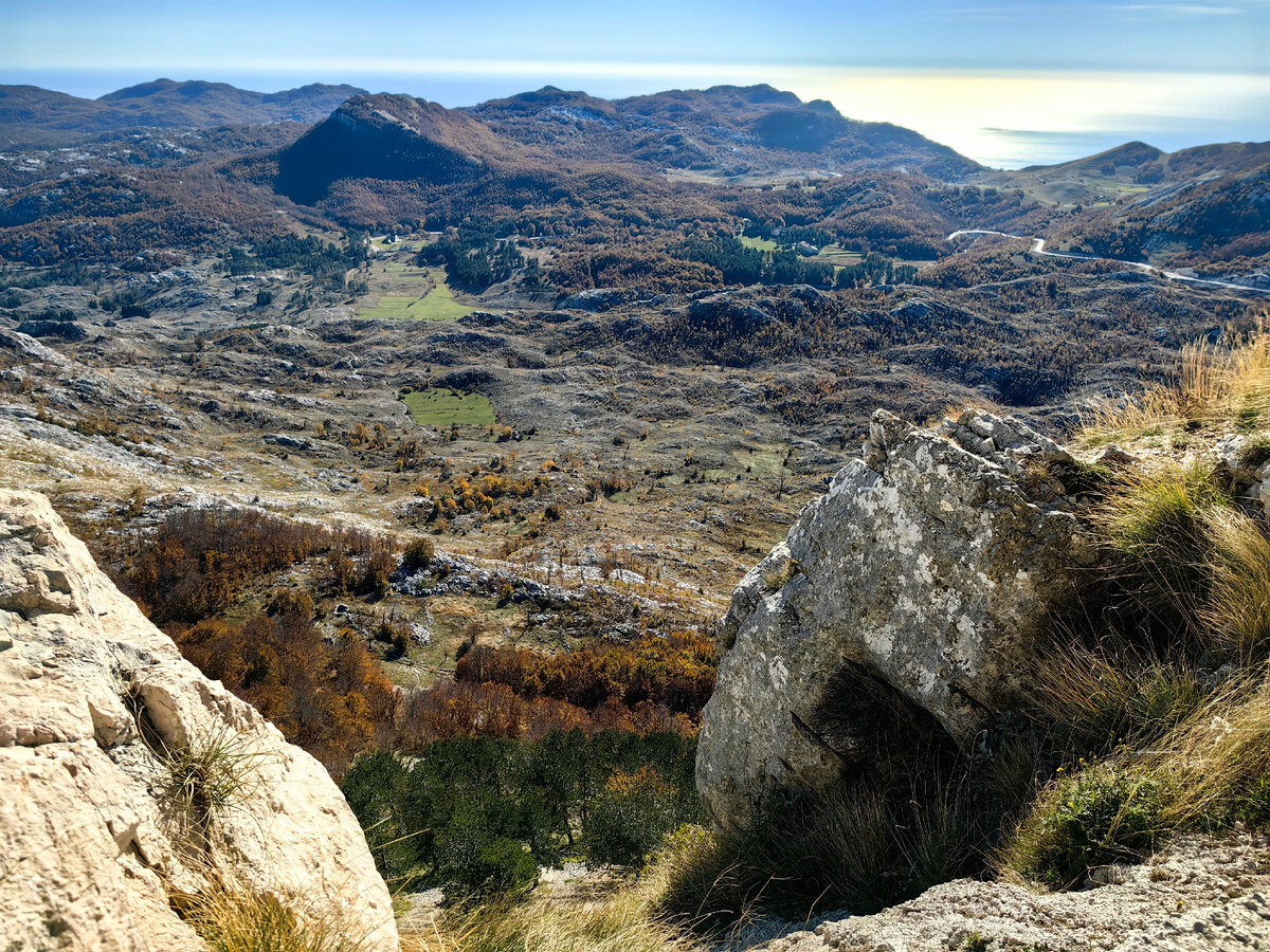 Есть кто живой?