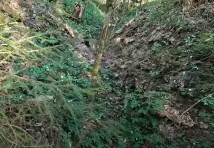 великая отечественная война осень 1941. пулеметчики максим второй мировой войны 1941. осень 1941 сражение. битва за волоколамское шоссе 1941. основные сражения лета осень 1941.