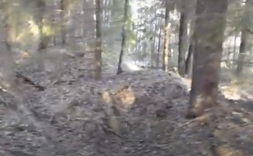 Бой стрелковой дивизии. Бой стрелковой дивизии. 13 гвардейская дивизия родимцева. Бой стрелковой дивизии. Бой на безымянной высоте 1943.