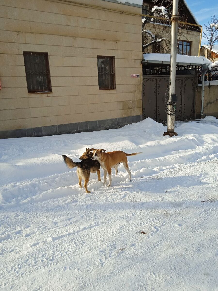 Заставка мы гуляем зимой. Прогулка зимой. Влюбленные со спины зимой. Зимой прогулки начинают. Зимой прогулки начинают.