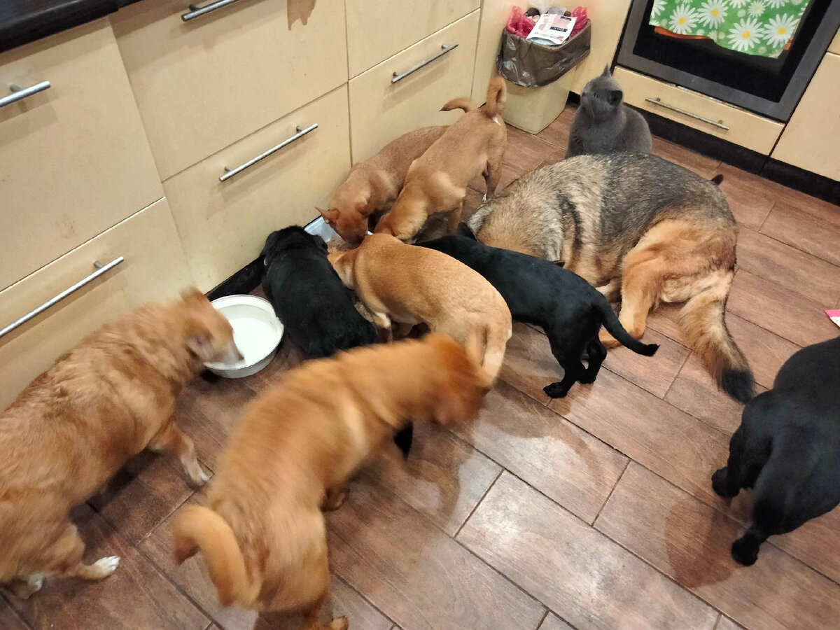 Кис кис концерты 2021. Барабанщица кис кис. Тутунайт кис ю. Кис кис группа концерт. Гитаристы группы кис кис.