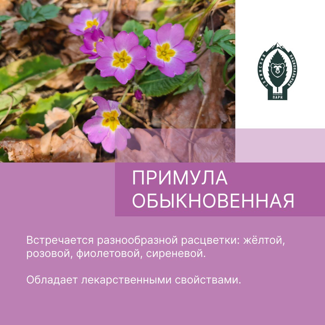    Фото: Сочинский нацпарк writ5