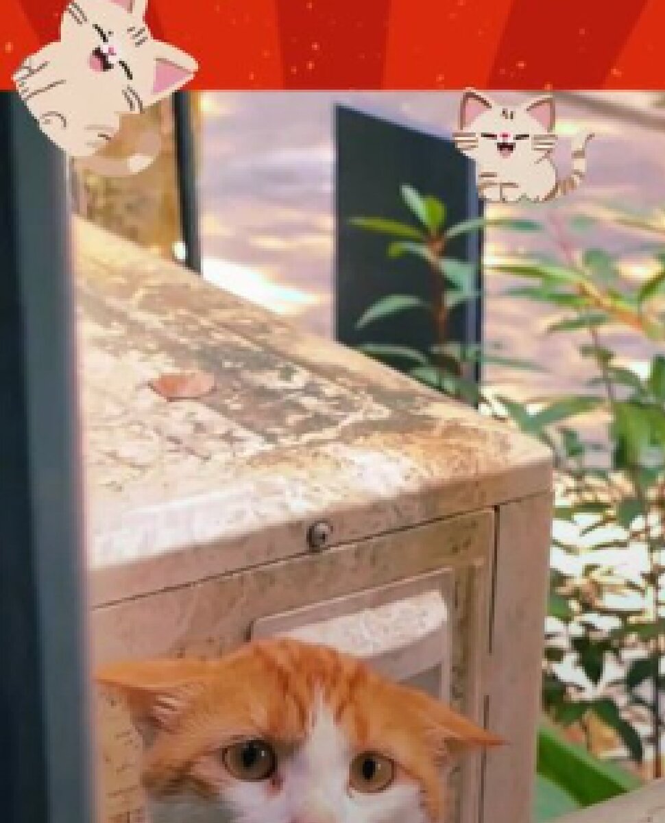 Пао т плюс логотип. Саратовский филиал т плюс. Ростовский бизнесмен вадим ванеев. Дымов вадим георгиевич. Генеральный директор «т плюс» андрей вагнер.