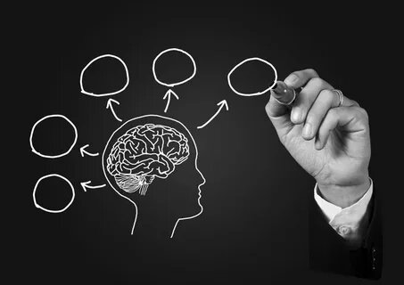 наука и осмысление. познаем человека. мысленное моделирование. мозг мышление. первое понимание науки.