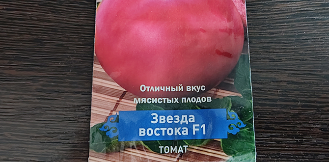 Имеет отличный вкус мясистых плодов