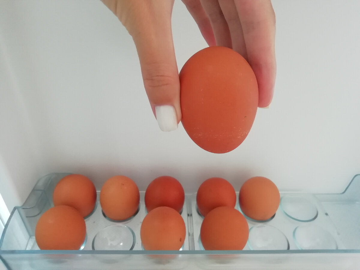 Решетки для обработки и хранения яиц. Игрушка перевертыш в яйце. Хранение яйца допуска. Яйцо с заостренным концом. Плотное яичко