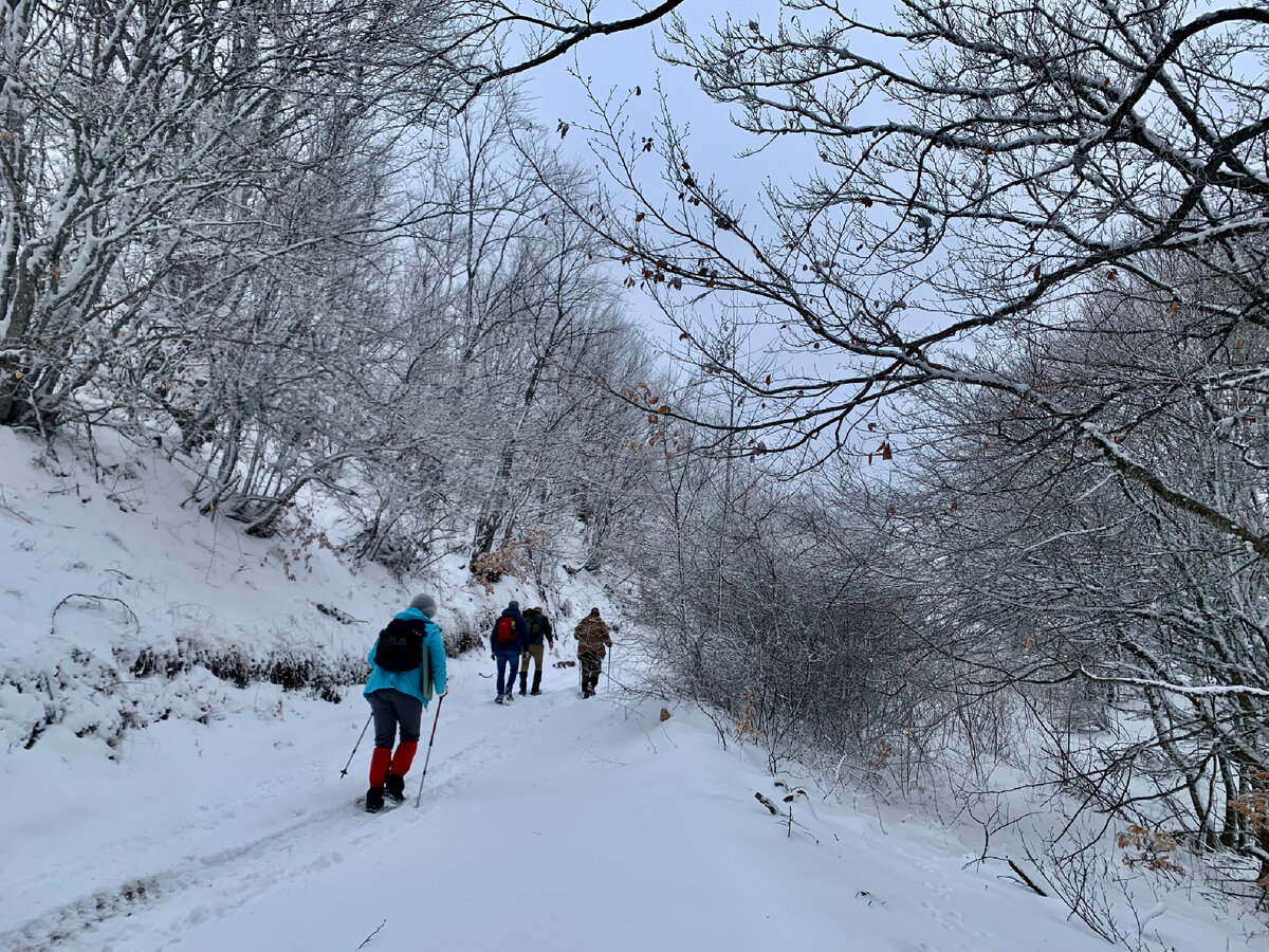 Горное пастбище в крыму 4. Плато караби крым. Плато караби-яйла. Горные пастбище джавахетии. Караби-яйла крым.