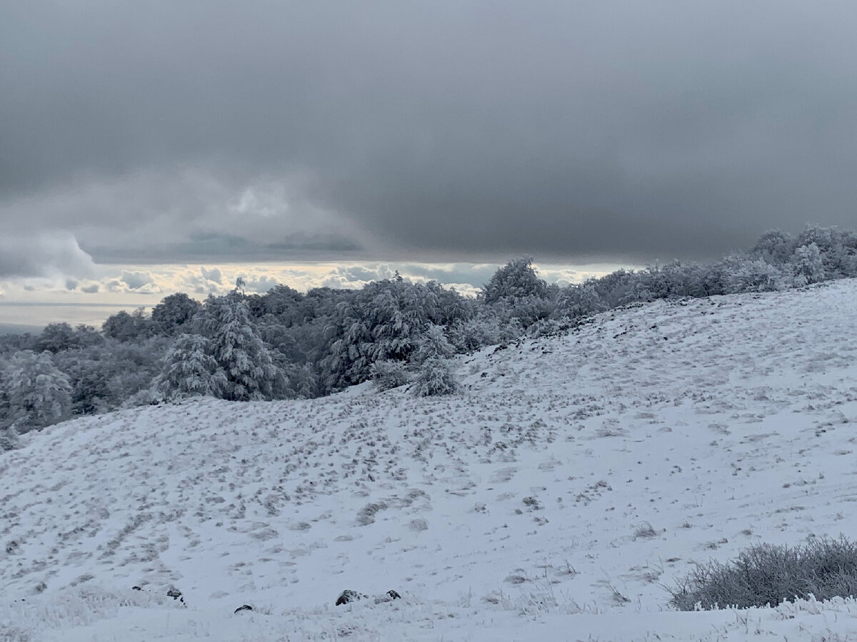 туристы прошли пешком 12 км и проехали. туристы были в пути 3 дня в 1. туристы проехали. группа туристов прошла пешком 72 км краткая запись. туристы прошли пешком 12 км и проехали.